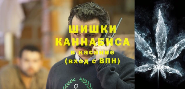 соль ск Дмитров