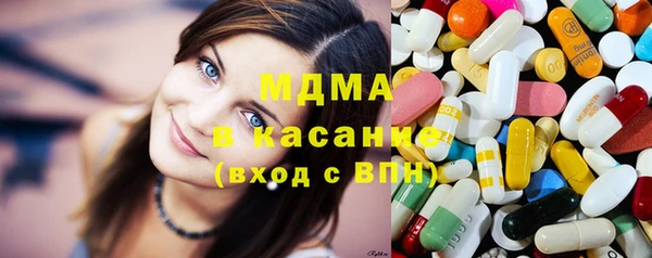 индика Гусь-Хрустальный