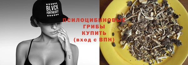 марки nbome Гусев