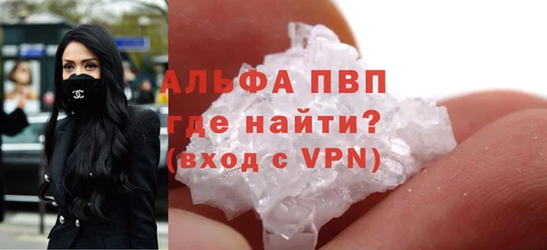 индика Гусь-Хрустальный