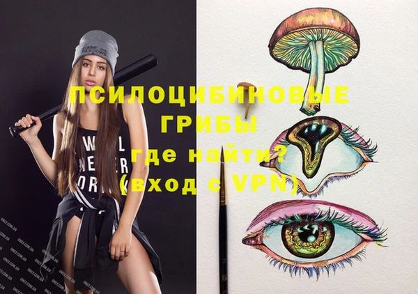 индика Гусь-Хрустальный