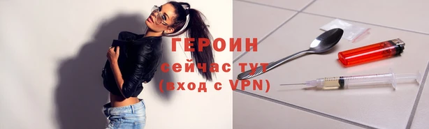 индика Гусь-Хрустальный