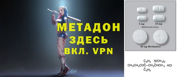 индика Гусь-Хрустальный