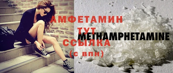 индика Гусь-Хрустальный