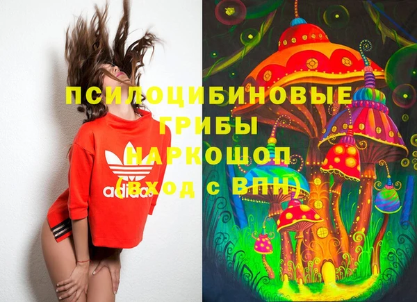 марки nbome Гусев