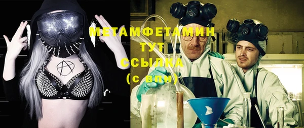 индика Гусь-Хрустальный