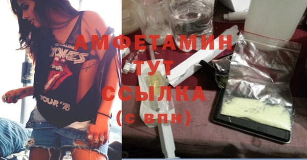 ПСИЛОЦИБИНОВЫЕ ГРИБЫ Гусиноозёрск