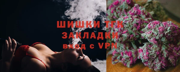 ПСИЛОЦИБИНОВЫЕ ГРИБЫ Гусиноозёрск
